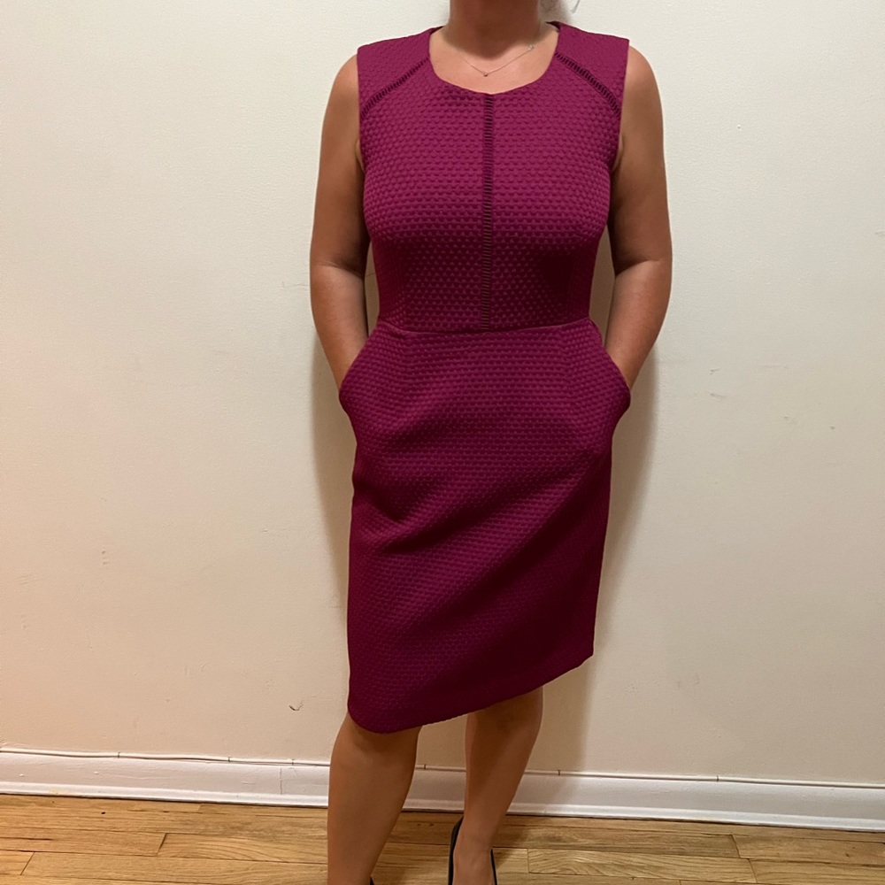 J.Crew Raspberry Shift Dress size 6 - Picture 11 of 11